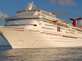 Carnival Inspiration