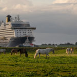 Saga's Spirit of Adventure