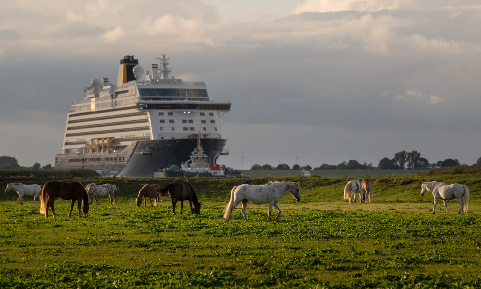 Saga's Spirit of Adventure