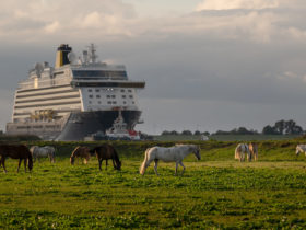 Saga's Spirit of Adventure