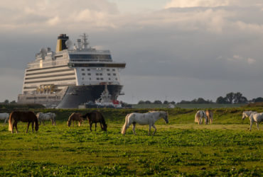 Saga's Spirit of Adventure