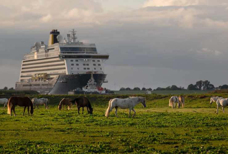 Saga's Spirit of Adventure