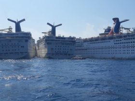 Carnival Imagination