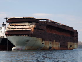 Regency Cruises' Regent Sky